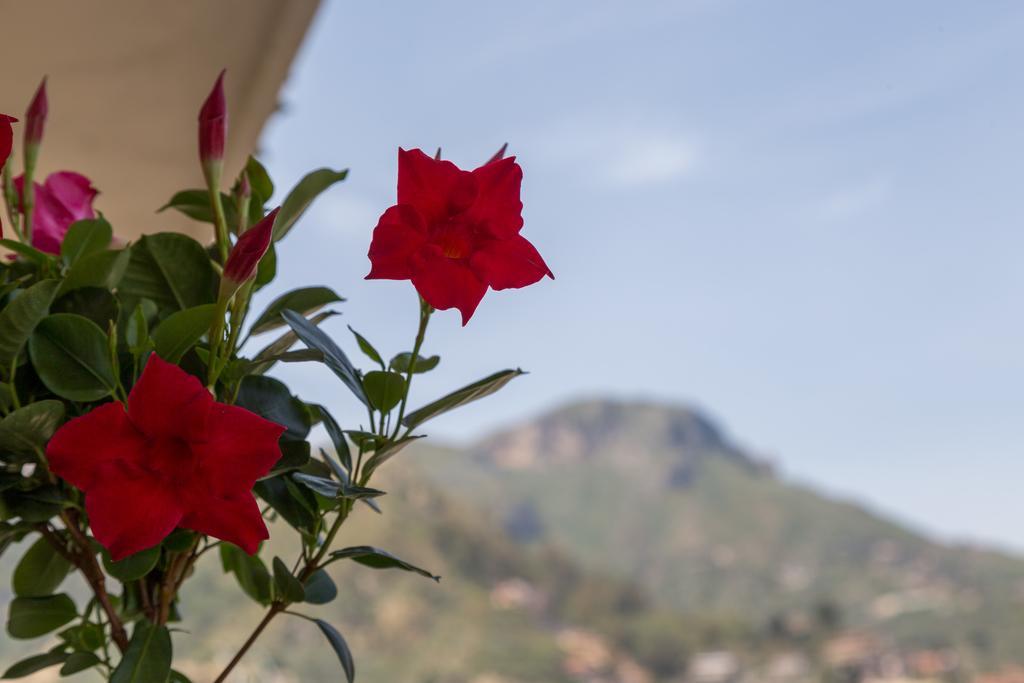 La Guardiola Di Angela E Nino Bed & Breakfast Taormina Bagian luar foto